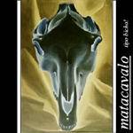 Matacavalo : Tipo Bicho!